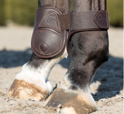 LeMieux Capella Fetlock Boots
