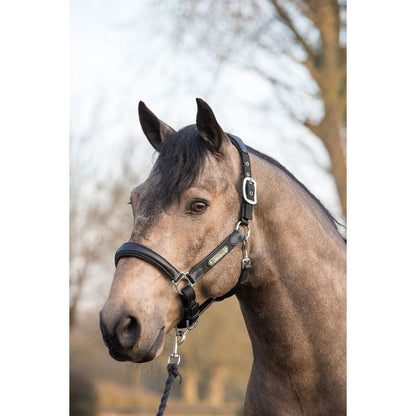 LeMieux Capella Headcollar