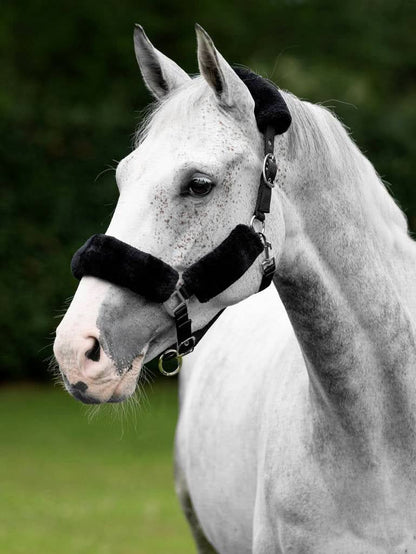 LeMieux Comfort Headcollar