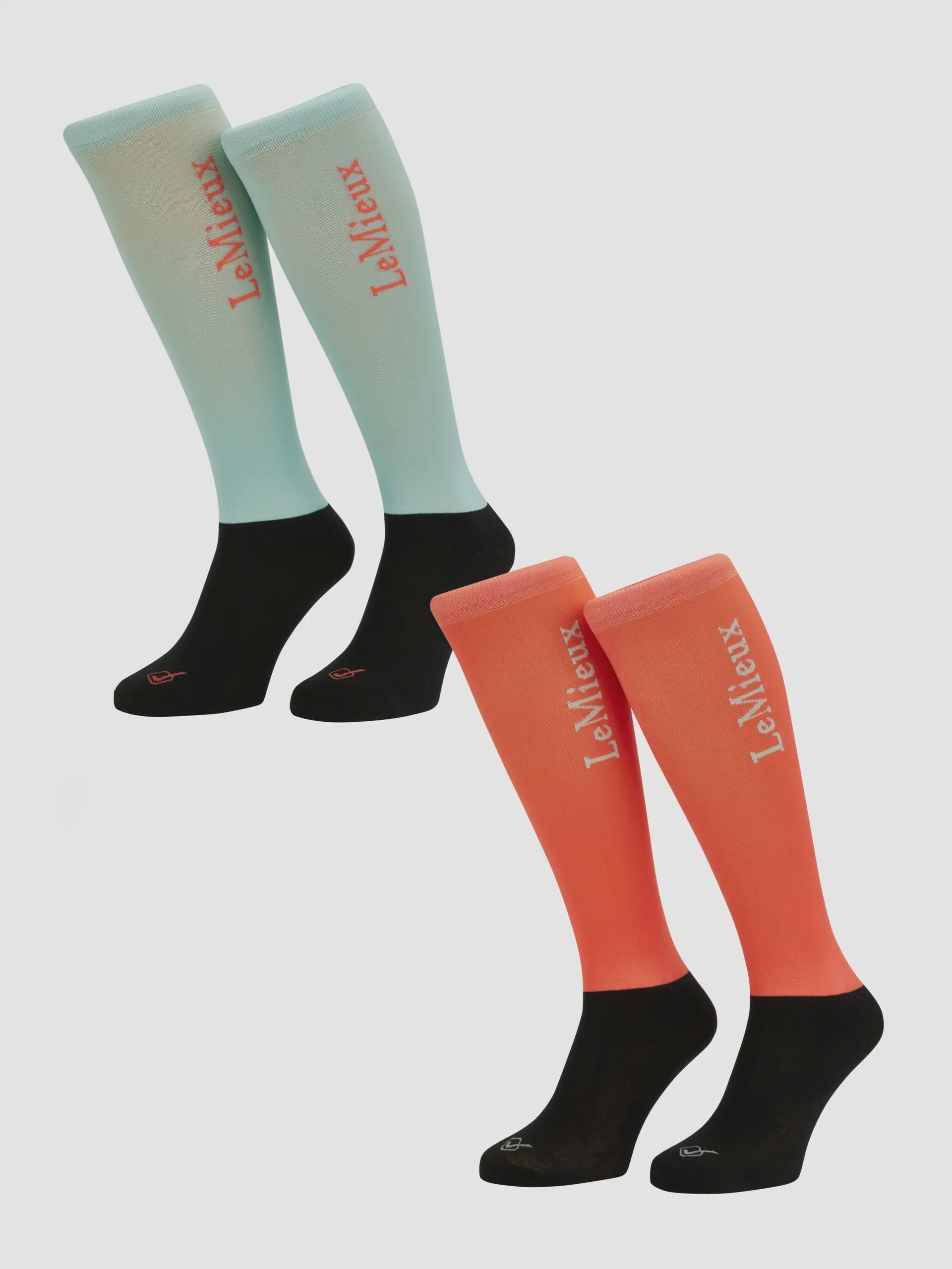LeMieux Harlow Competition Socks - Coral Crush/Blue Topaz