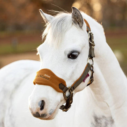 LeMieux Mini Vogue Headcollar - AW24