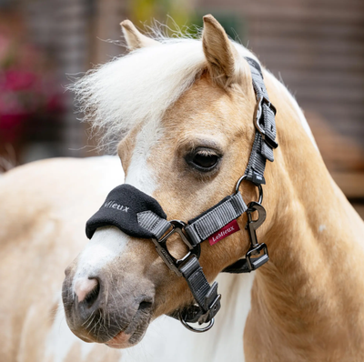 LeMieux Mini Vogue Headcollar & Leadrope