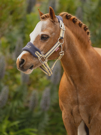 LeMieux Mini Vogue Headcollar & Leadrope - Spring 25