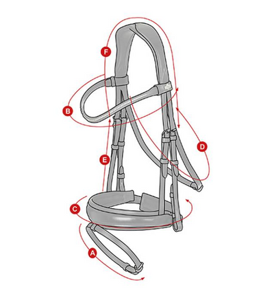 LeMieux Arika Dressage Bridle