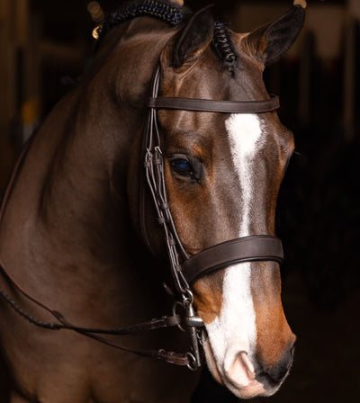 LeMieux Flat Hunter Bridle with Laced Reins