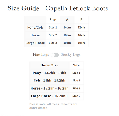 LeMieux Capella Fetlock Boots