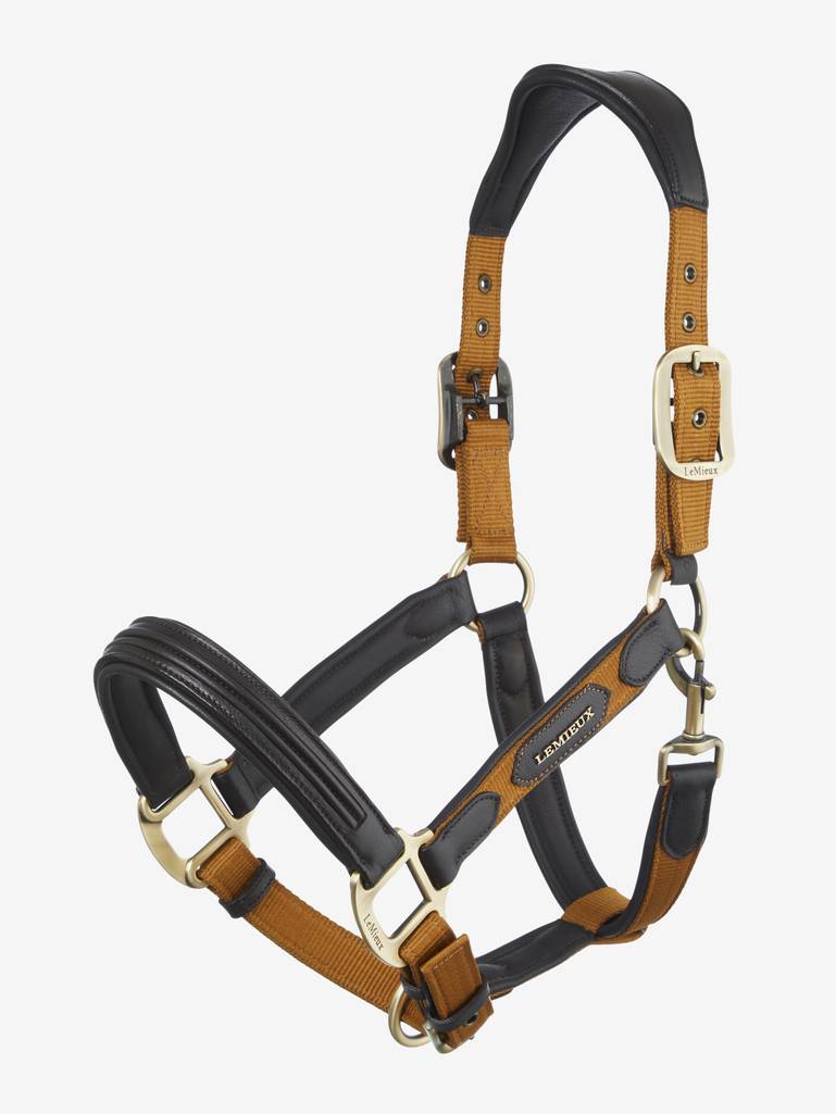 LeMieux Capella Headcollar - AW24