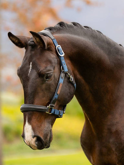 LeMieux Capella Headcollar