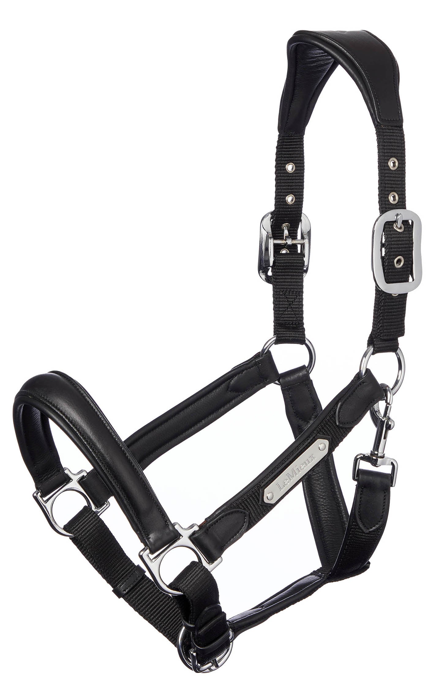 LeMieux Capella Headcollar