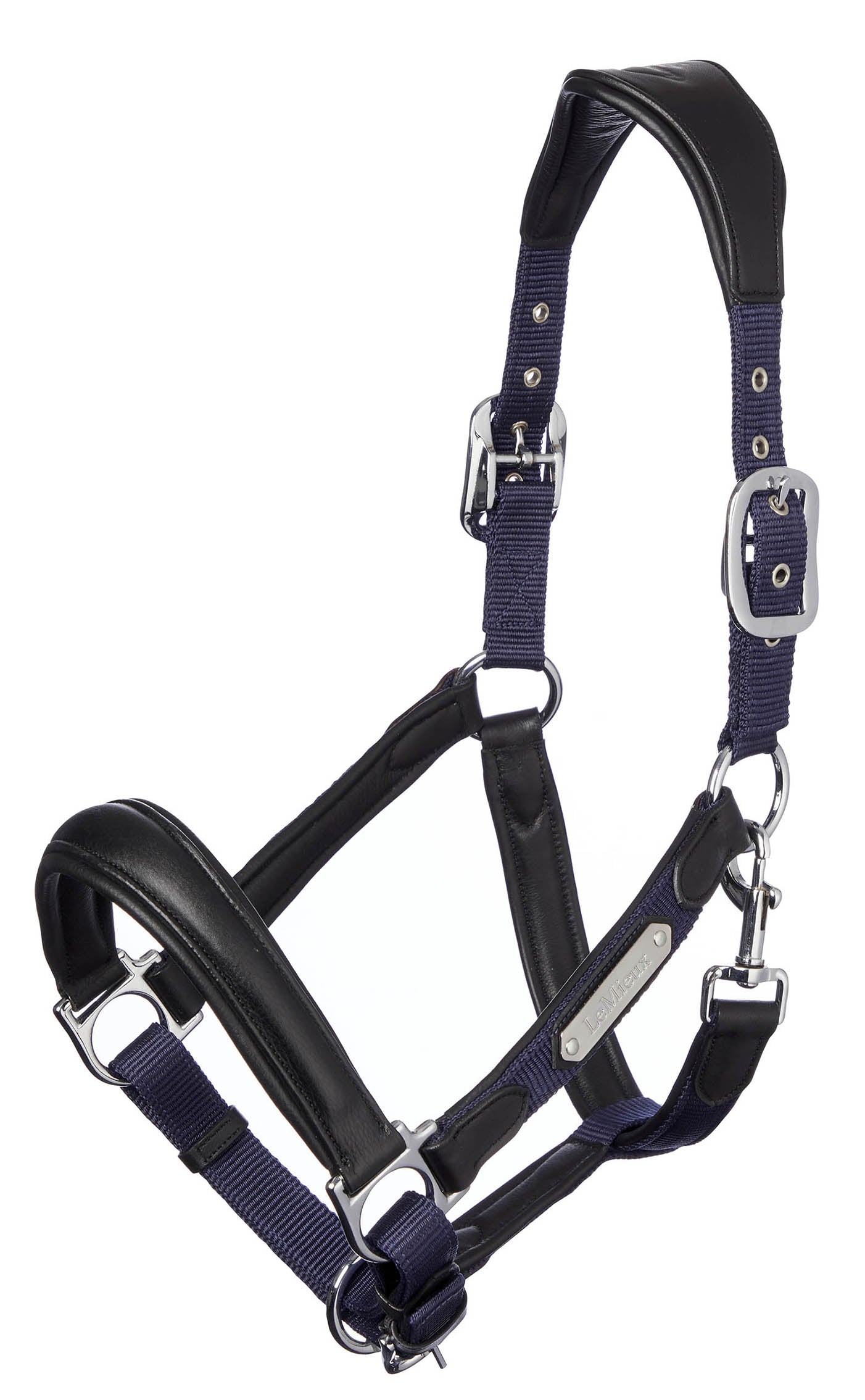 LeMieux Capella Headcollar