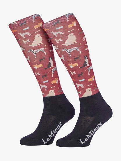 LeMieux Footsie Socks - AW24