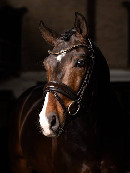 LeMieux Kudos Patent Dressage Bridle