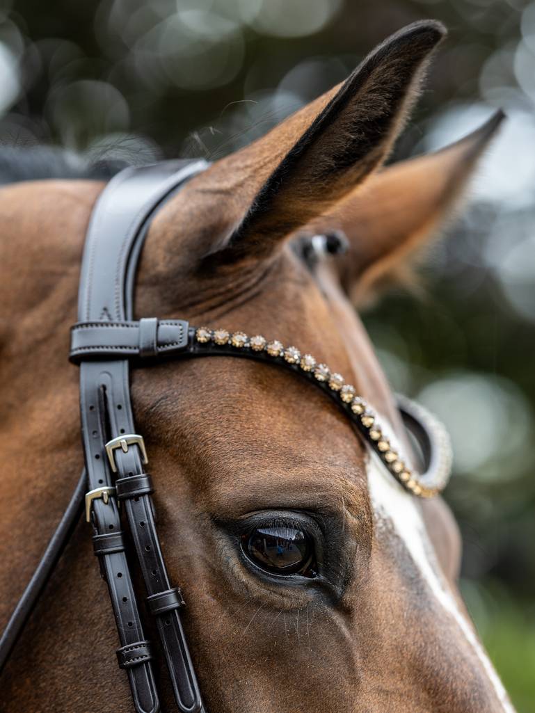 LeMieux Kudos Patent Dressage Bridle