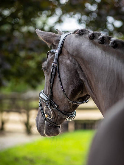 LeMieux Kudos Patent Dressage Bridle