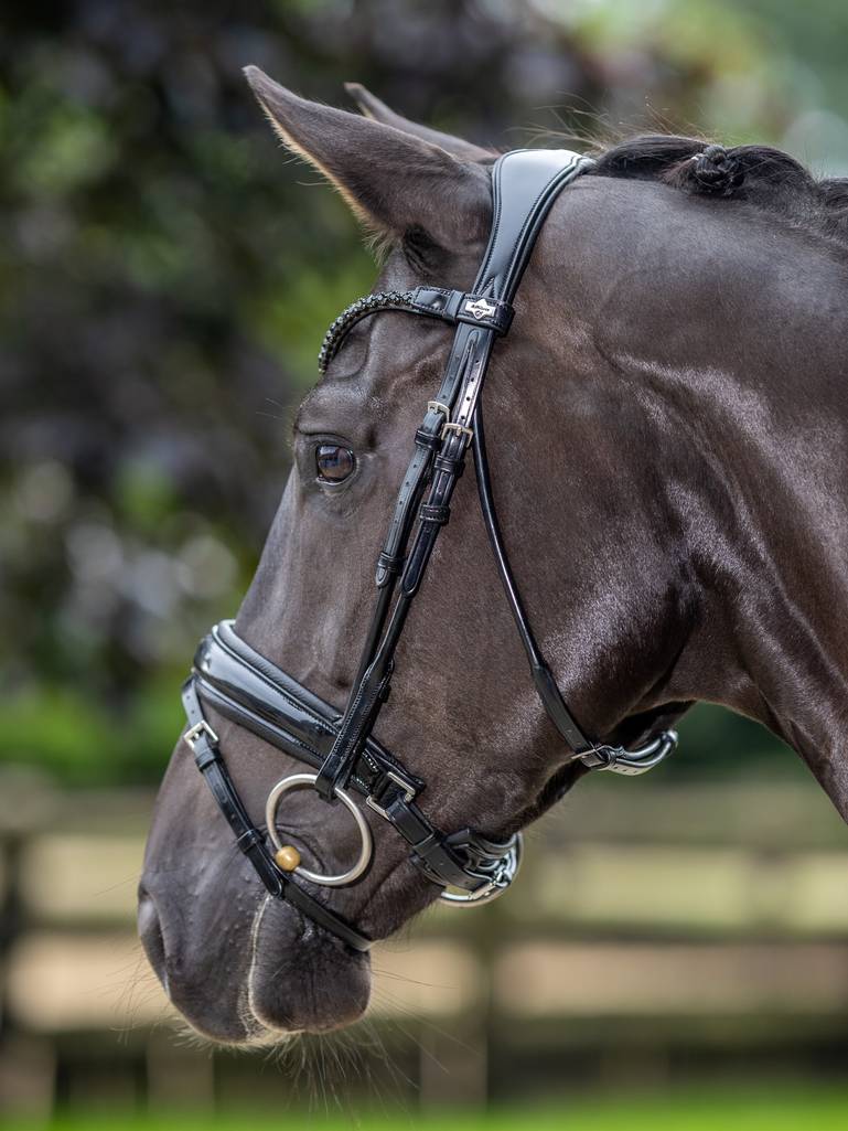 LeMieux Kudos Patent Dressage Bridle