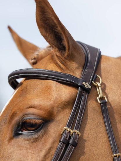 LeMieux Kudos Work Bridle