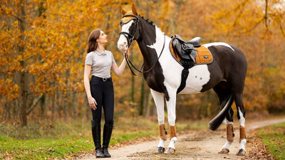LeMieux Loire Classic Close Contact Square Saddle Pad- AW24