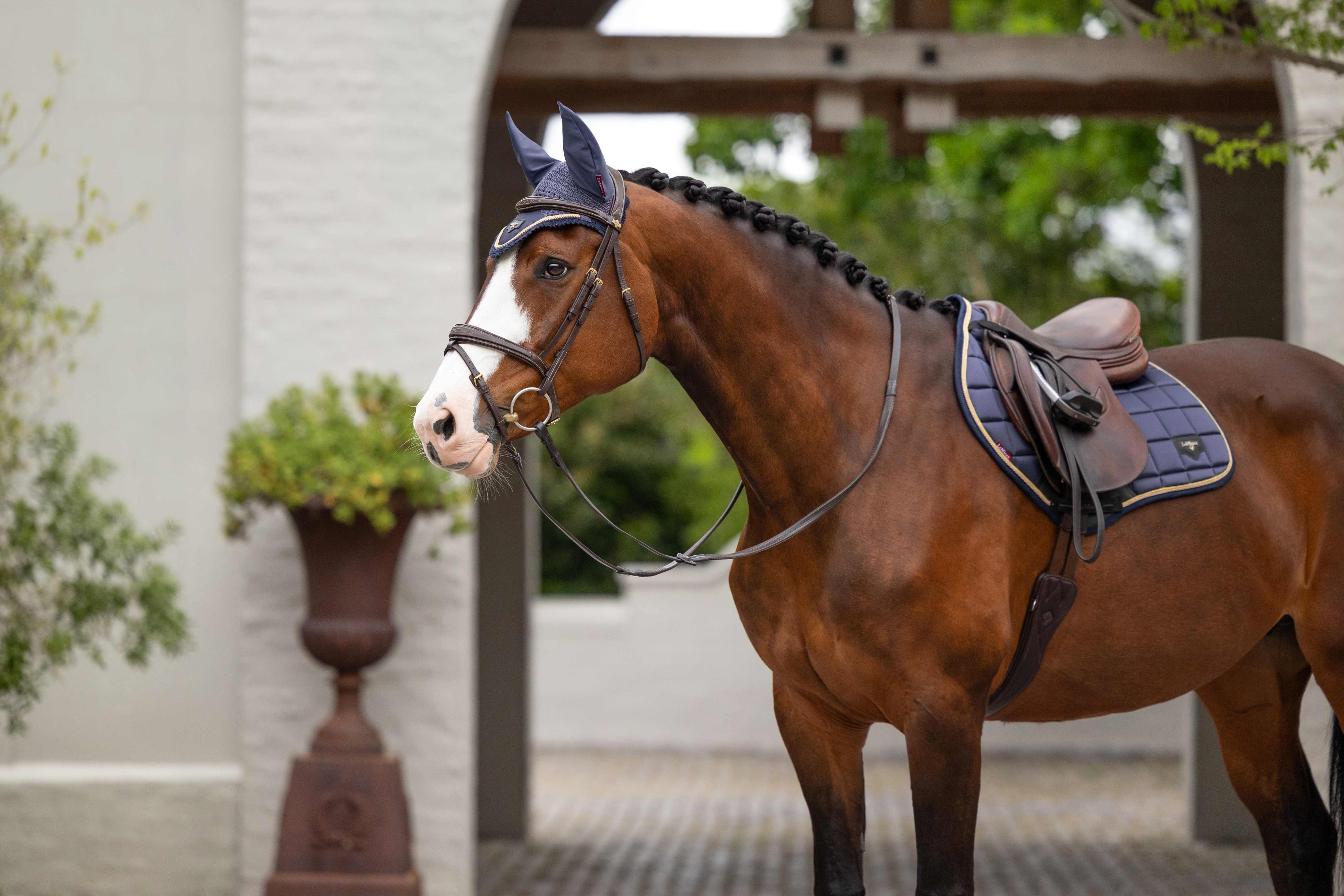 LeMieux Loire Classic Close Contact Square - Spring 25