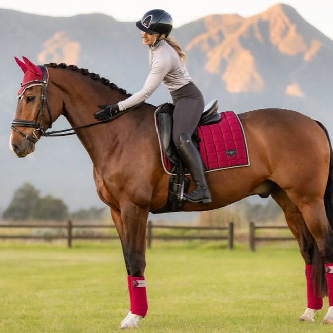 LeMieux Loire Classic Dressage Square - AW24