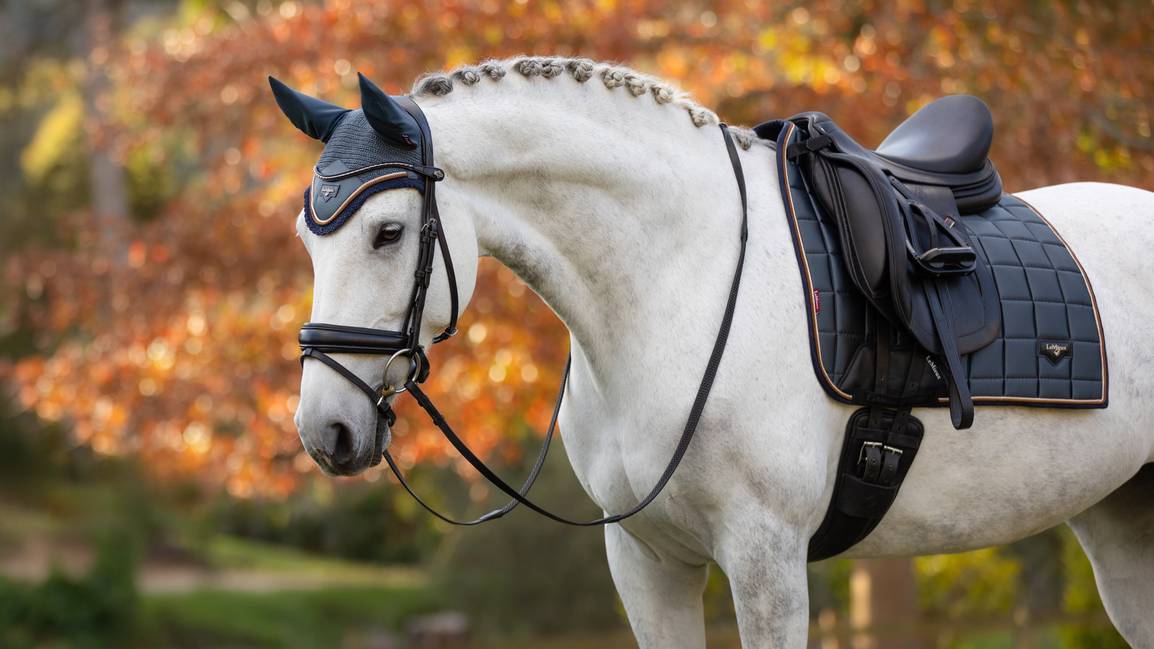 LeMieux Loire Classic Dressage Square - AW24