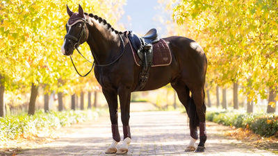 LeMieux Loire Classic Dressage Square - AW25