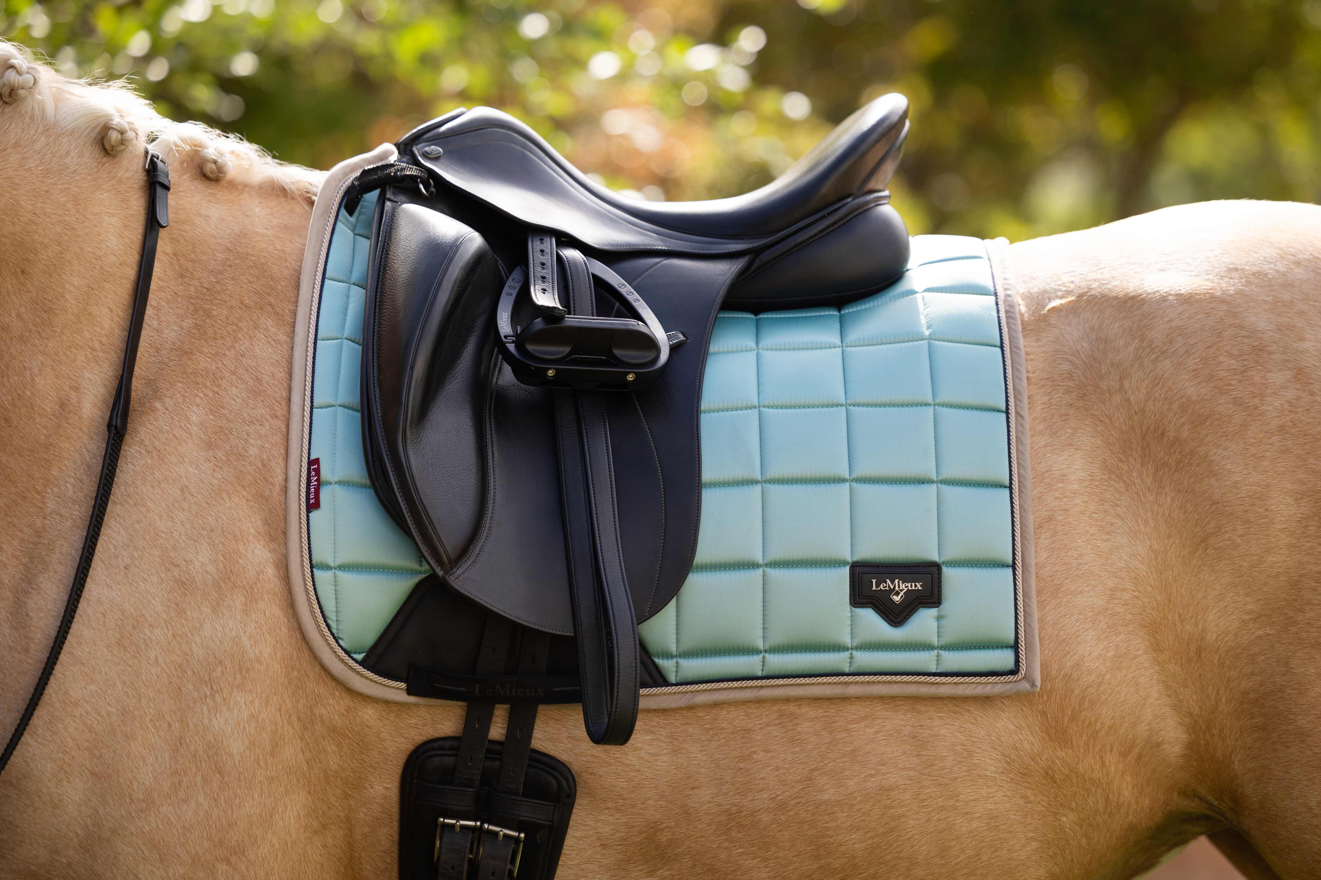 LeMieux Loire Classic Dressage Square - Spring 25