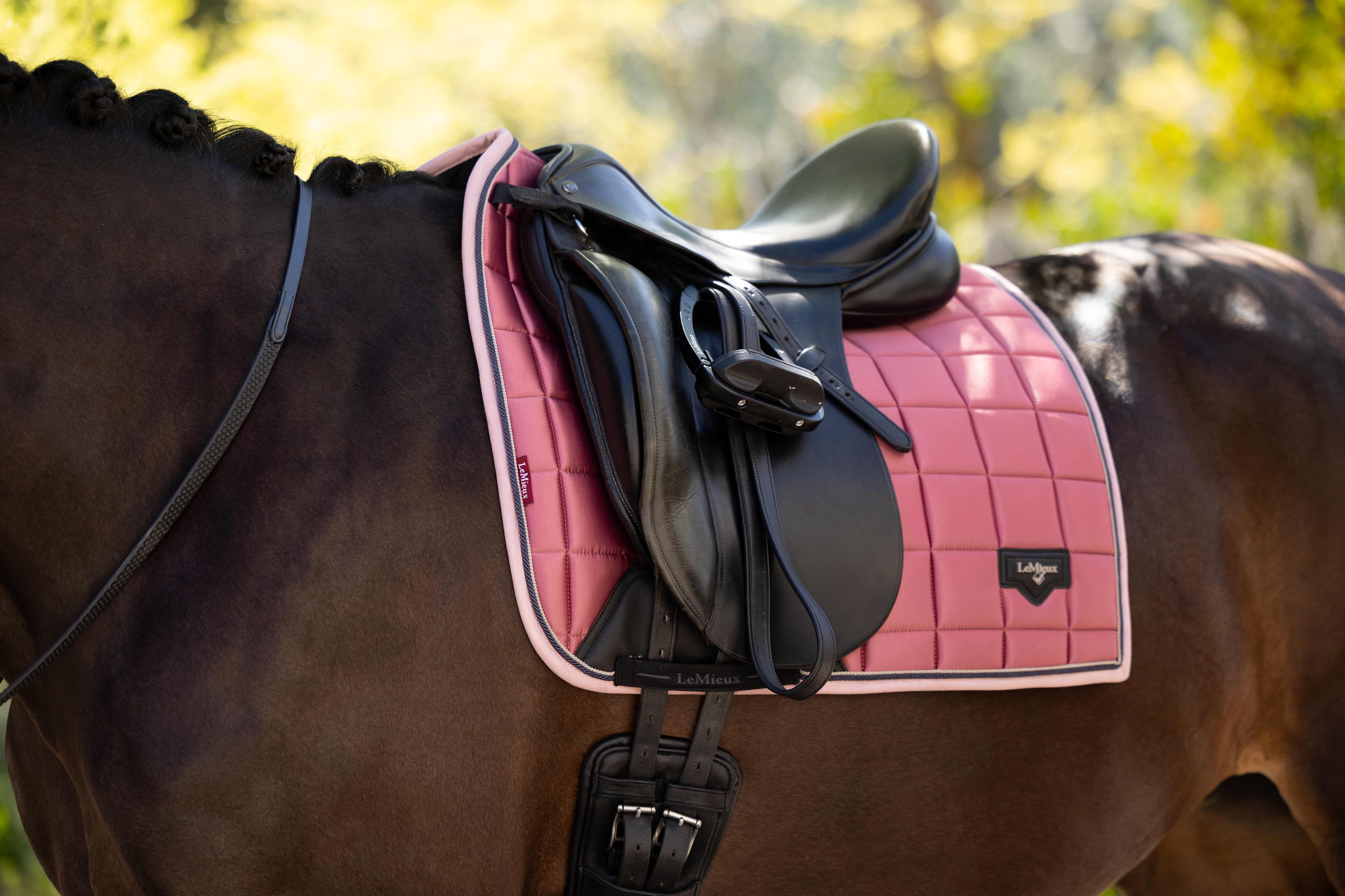 LeMieux Loire Classic Dressage Square - Spring 25