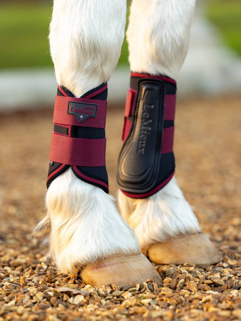 LeMieux Mini Brushing Boots - AW24