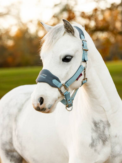 LeMieux Mini Vogue Headcollar - AW24