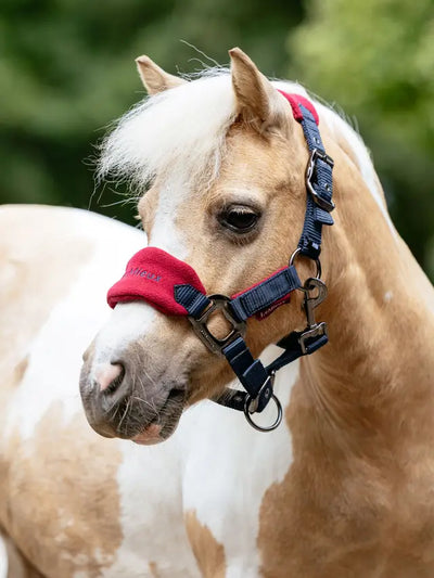 LeMieux Mini Vogue Headcollar & Leadrope