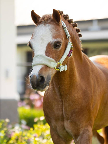 LeMieux Mini Vogue Headcollar & Leadrope - Spring 24