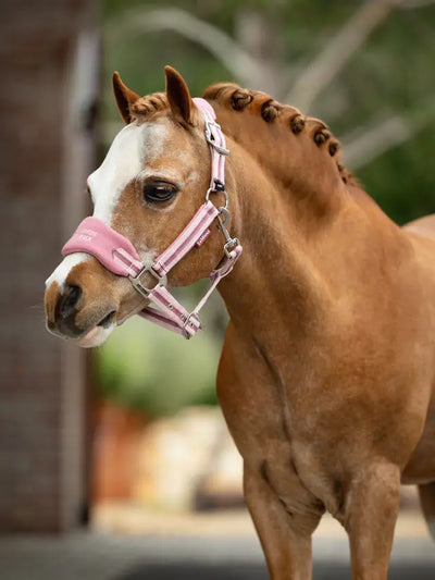 LeMieux Mini Vogue Headcollar & Leadrope - Spring 25