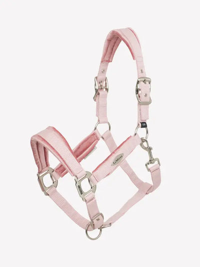 LeMieux Versailles Headcollar - Spring 25