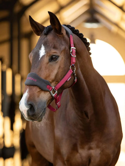 LeMieux Vogue Headcollar & Leadrope - AW24