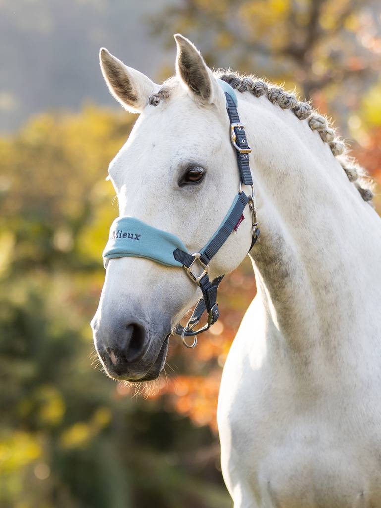 LeMieux Vogue Headcollar & Leadrope - AW24