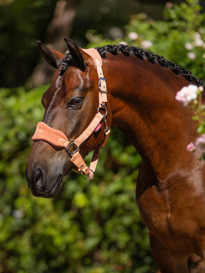 LeMieux Vogue Headcollar & Leadrope - Spring 24