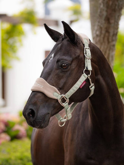 LeMieux Vogue Headcollar & Leadrope - Spring 24