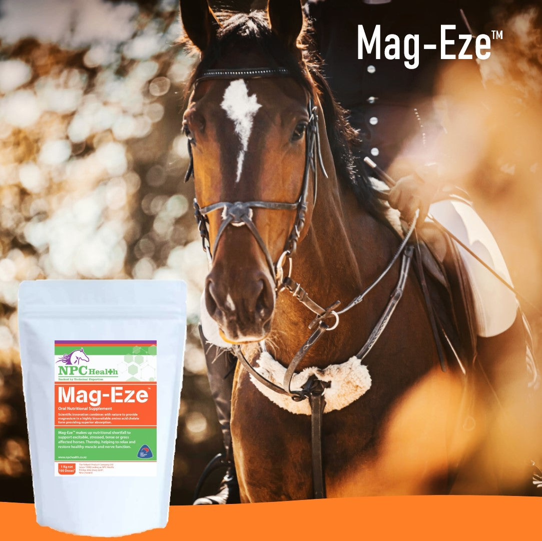 NPC Mag-Eze Regular Powder