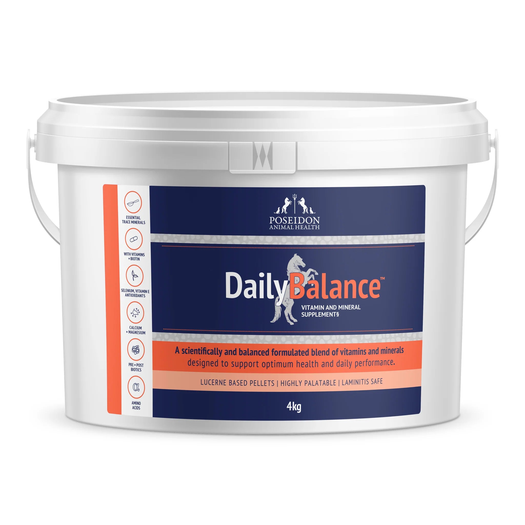 Poseidon Daily Balance  (formerly VM)