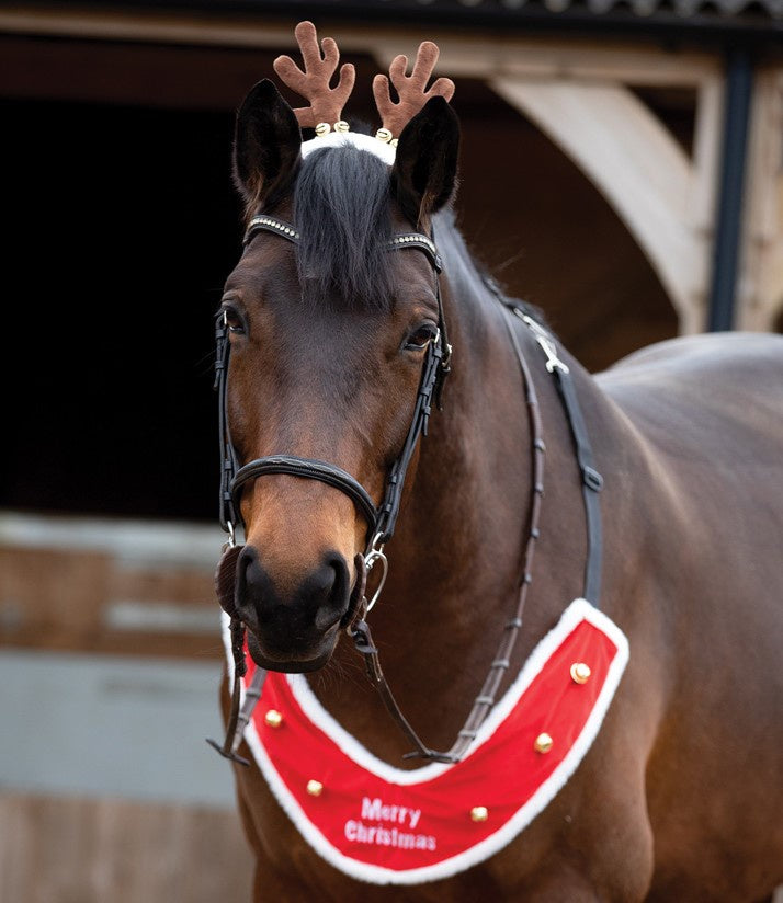 Reindeer Antler Bridle Accessory