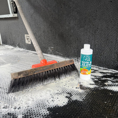 Eco Horse Tow & Glow Float & Truck Cleaner