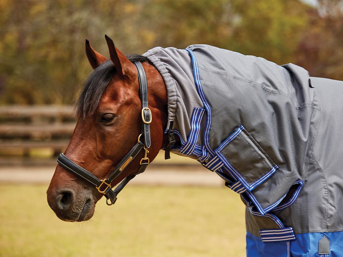 WeatherBeeta ComFiTec Premier Free Mane Shield Combo - Medium