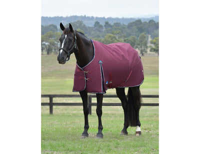 Weatherbeeta ComFiTec Essential Turnout Standard Neck Rug - Lite Plus 50g