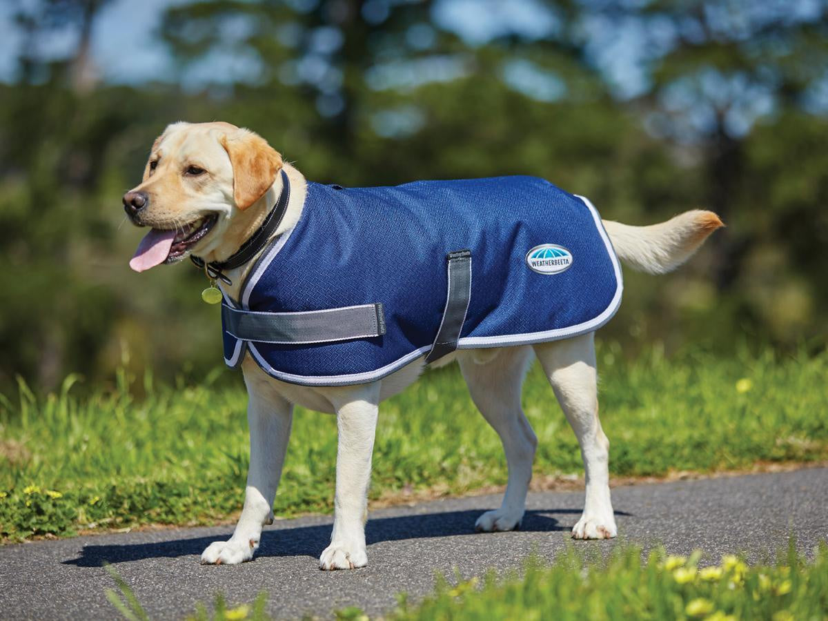 Weatherbeeta ComFiTec Parka 1200D Dog Coat - Navy/Grey/White