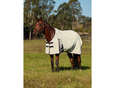 Weatherbeeta Cotton Summer Sheet Standard Neck Cover - New