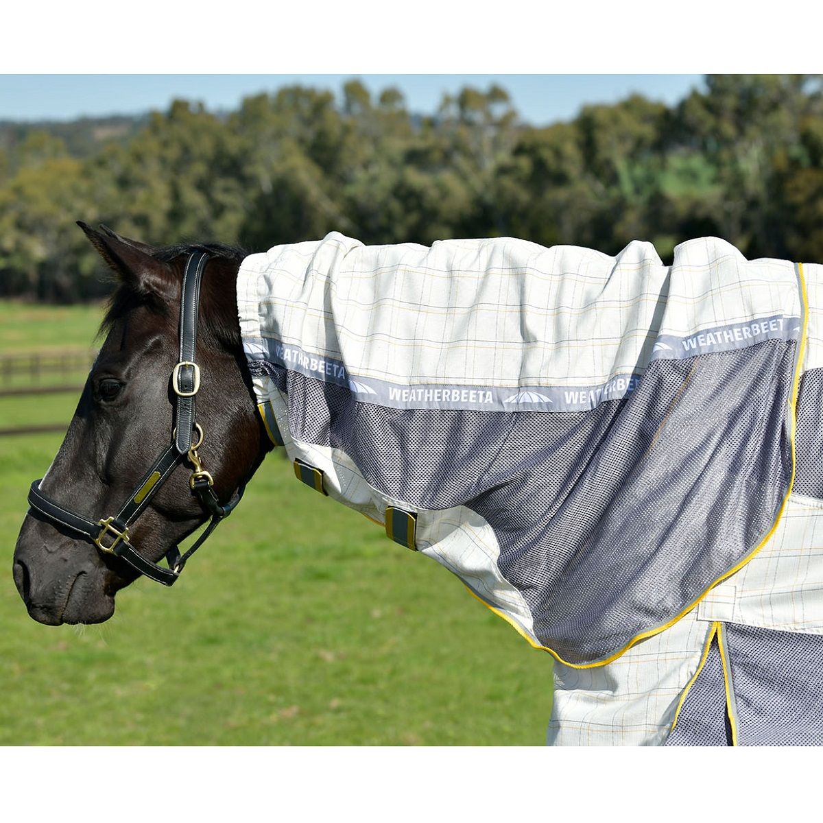 Weatherbeeta Breeze Combo Scrunch Neck II - White/Grey/Yellow