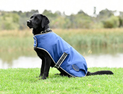 Weatherbeeta ComFiTec Windbreaker Free Dog Coat Dark Blue/Grey/White