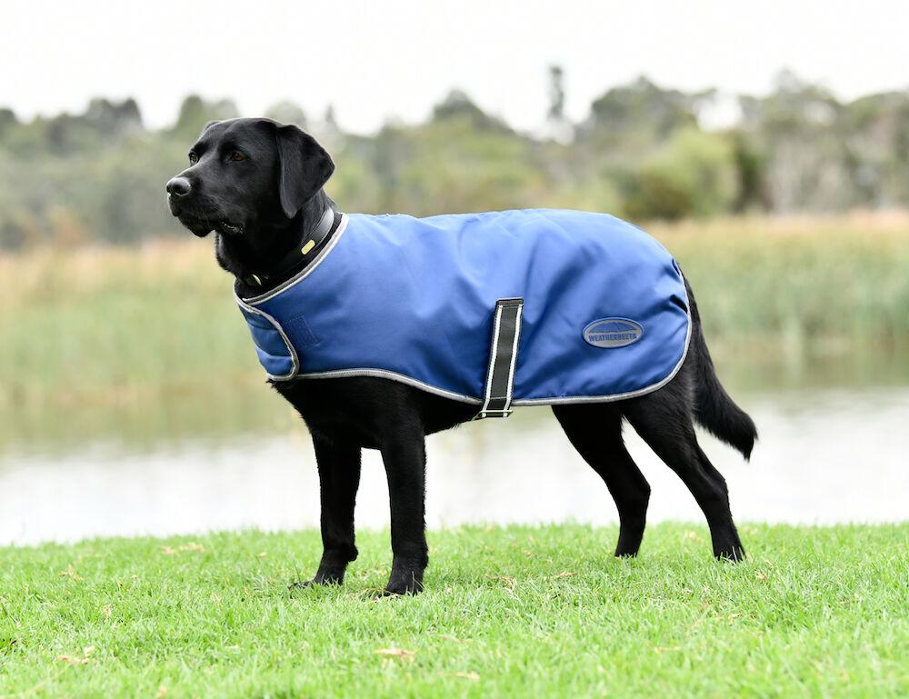 Weatherbeeta ComFiTec Windbreaker Free Dog Coat Dark Blue/Grey/White