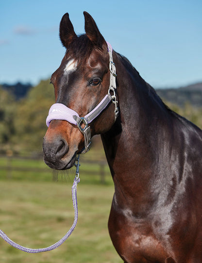 Weatherbeeta Prime Plus Headcollar and Lead set