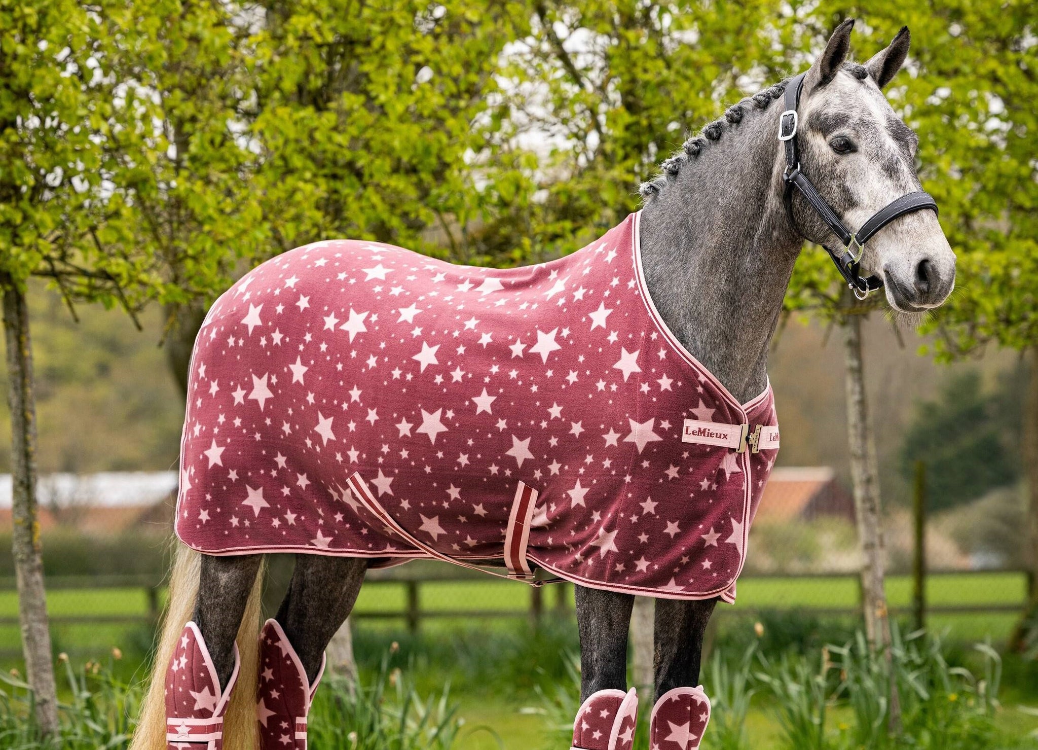 HorseSports Equestrian Online Tack Shop & Saddlery in Auckland